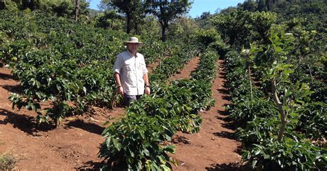 Henry Blog: Jost owns, works Costa Rican coffee farm