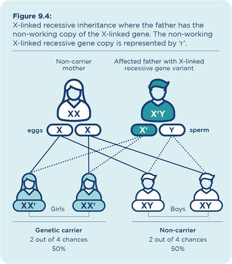 Recessive Gene