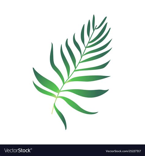 Cartoon green fern plant icon Royalty Free Vector Image