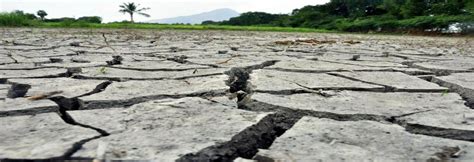 Maharashtra heads towards a drier drought