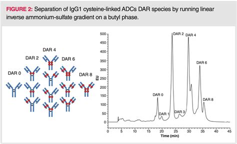 Hydrophobic Interaction Chromatography (HIC) for the Characterization of Therapeutic Monoclonal ...