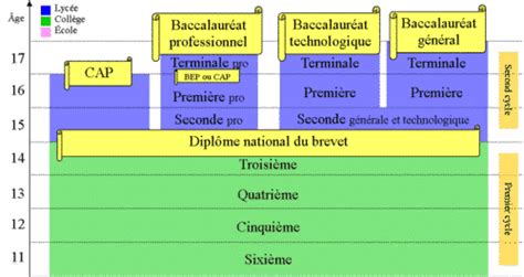 The French School System Explained 👩🏼‍🏫