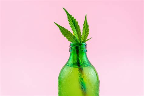 Top 4 Cannabis-Infused Drinks | CBD Insights | Flavor Fix