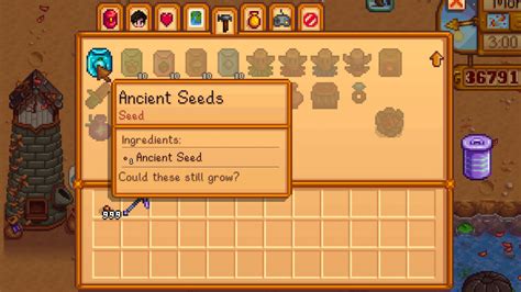 Ancient Seed: Museum Donation, Uses, and More