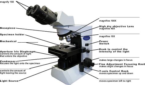 Different Types: Microscope Different Types