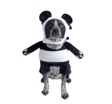 Panda Dog Costume - Hyde and Eek! Boutique™ - image 1 of 3 | 可愛い 生き物, 可愛い, 生き物