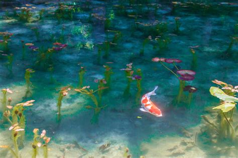 The Mystery Pond In Japan Looks Like Monet’s Paintings - Japan Web Magazine