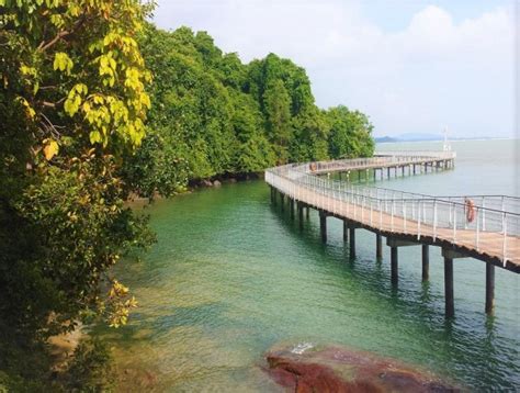 Pulau Ubin & Chek Jawa