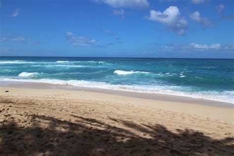 Chill Out with a Journey to Enjoy Winter in Oahu | Ola Properties