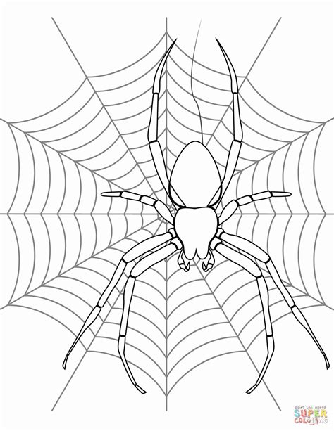 Printable Halloween Spider Web Coloring Pages - Thekidsworksheet