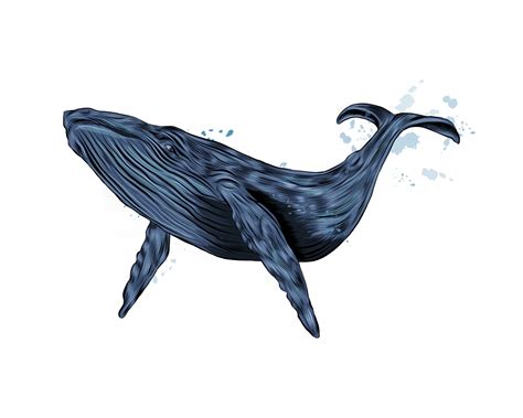 Humpback whale, blue whale from a splash of watercolor, colored drawing ...