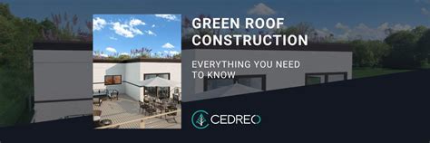 Green Roof Construction: Everything You Need to Know | Cedreo