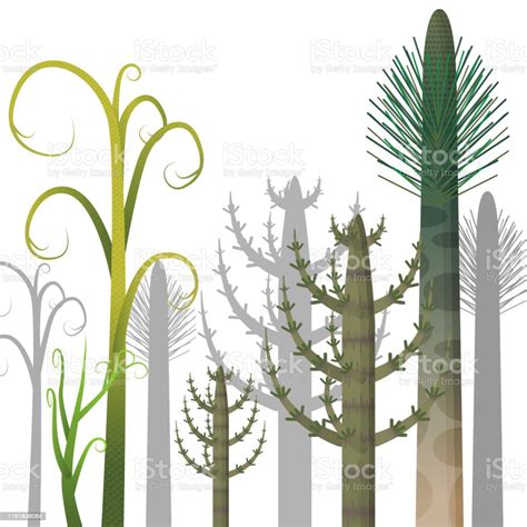 Prehistoric Plants Stock Illustration - Download Image Now - Tree ...