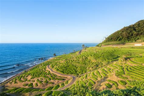 Shiroyone Senmaida Rice Terraces, Wajima, Japan Stock Photo - Image of coast, japanese: 132928720