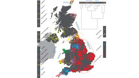 Where Do We Come From? Britain's DNA Map