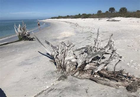 Best Florida camping: Favorite campgrounds | FloridaRambler.com