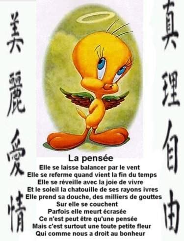 Humoristique Pensée Du Jour