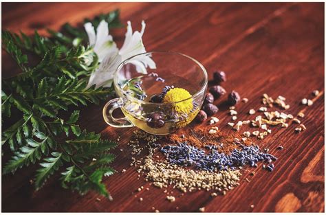 The 5 Best Herbal Ingredients For Your Skin | Tatler Hong Kong