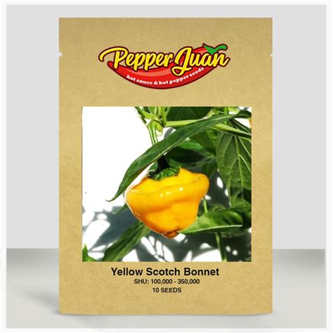 Buy Yellow Scotch Bonnet Pepper Seeds online | Pepper Juan