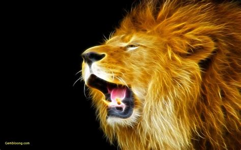 Cool Lion Wallpapers HD (74+ images)