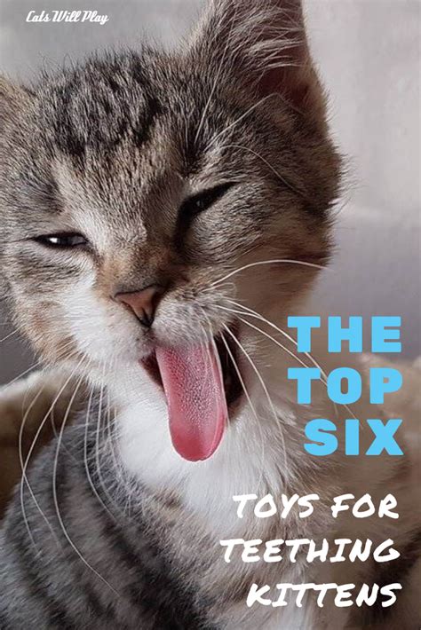 The Top Six Best Kitten Teething Toys - Cats Will Play