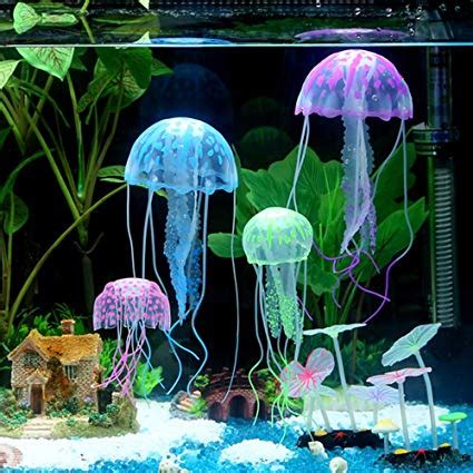 Axolotl ate tank decoration- advice | Caudata.org: Newts and ...