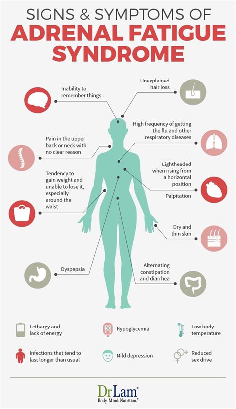 Adrenal Fatigue | Adrenal fatigue, Chronic fatigue syndrome symptoms, Adrenal fatigue symptoms