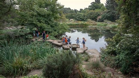 Cambridge University Botanic Garden marks 175th birthday - BBC News