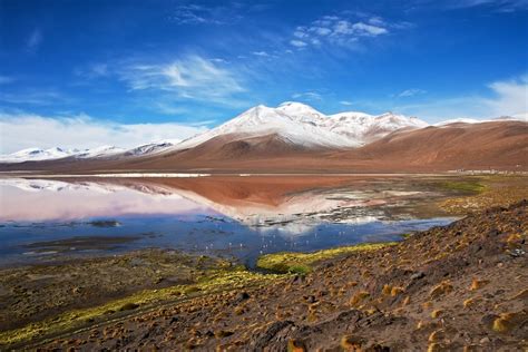 Details on the Laguna Colorada geothermal project in Bolivia ...