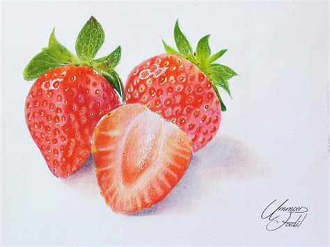 Drawing Fruits 3 - Strawberries - Colored pencils by f-a-d-i-l on ...