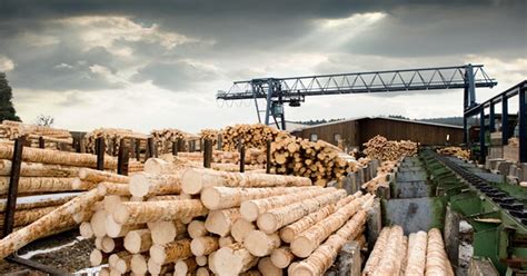 New lumber mill will employ 110 in Pike County