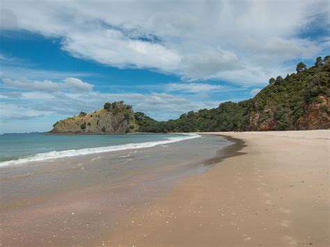 Walk to the Hidden New Chums Beach in Coromandel