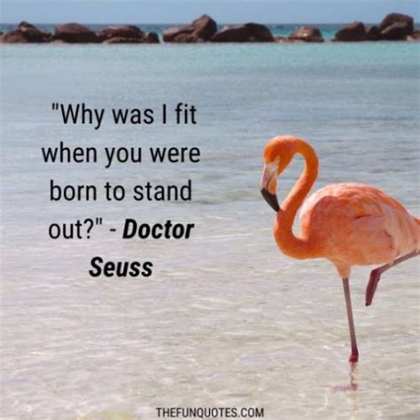 Flamingo Sayings and Flamingo Quotes With Images - THEFUNQUOTES