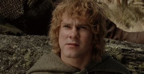 Merry Brandybuck | Middle-Earth Films Wiki | Fandom