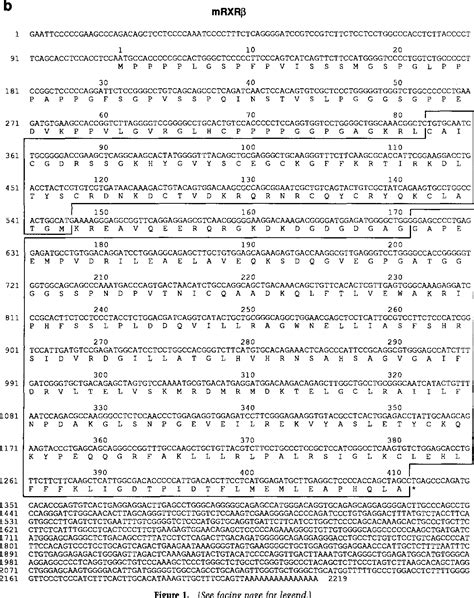 Retinoic Acid Receptor | Semantic Scholar