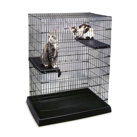 Petmate Small Animal Pen with Plastic Tray and Perch - Walmart.com - Walmart.com