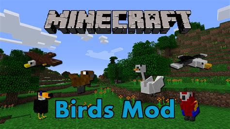 Minecraft Mods - Birds Mod - YouTube