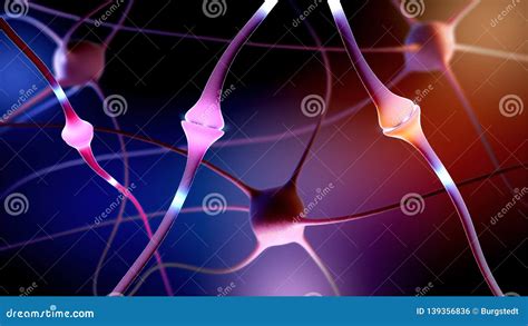 3d Illustration of a Synapse Part of a Neuron or Nerve Cell Cell Stock ...