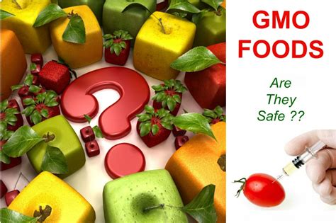 What are GMO foods and what are their pros and cons