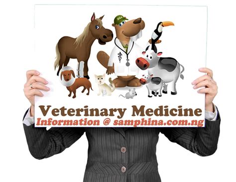 Universities in Nigeria That Offer Veterinary Medicine