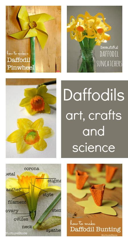 Saint David's Day crafts, activities and lesson plans - NurtureStore