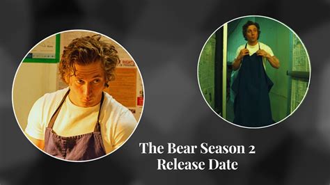 The Bear Season 2 Release Date: When it Will be Available to Watch on Hulu? - Venture jolt