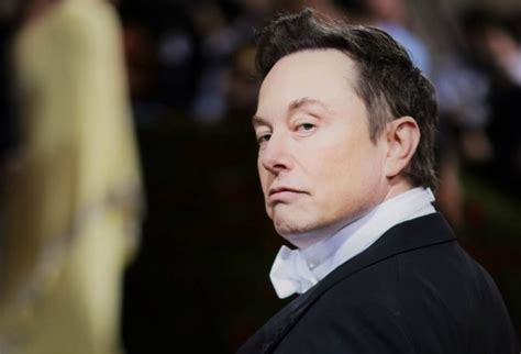 Elon Musk & AI Experts Demand a Pause: Unraveling the Controversy ...