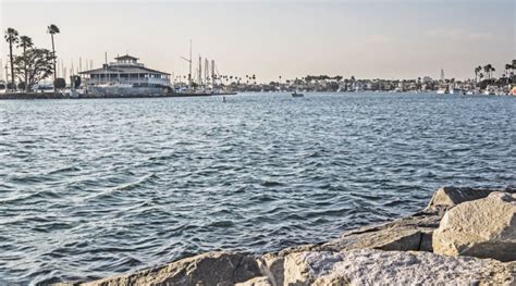 Alamitos Bay Marina enters eighth phase – The Log