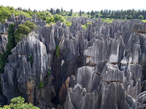 Study Sheds New Light on Growth of Mysterious Stone Forests | Sci.News