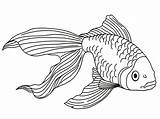 50  Goldfish Coloring Pages Free Printable PDF & Online sketch template
