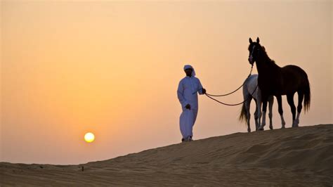 Book Dubai Desert Horse Riding Adventure with Rider | DoTravel