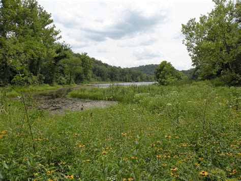 Mark Twain National Forest Hiking Trails: 7 Scenic Ozark Adventures