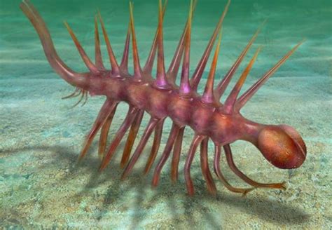 25 Strangest Prehistoric Creatures To Roam The Earth | Awesomely Alien Flora & Fauna ...