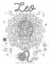 Leo Adult Coloring Page  Free Printable PDF Download sketch template
